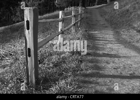 DOF peu profond de l'image bois clôturé chemin sur la pente d'une tête hil dans le bois sombres en noir et blanc Banque D'Images