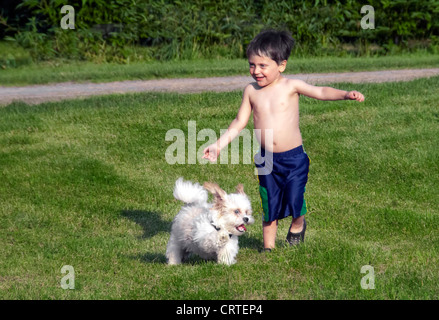 Tout-petit avec petit chien Banque D'Images