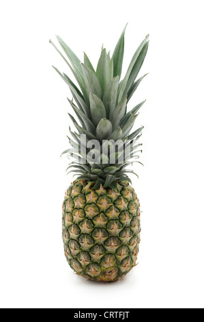 L'ananas, Ananas Banque D'Images