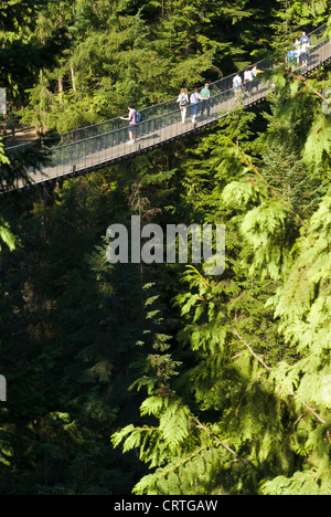 Le Pont Suspendu de Capilano. North Vancouver, BC, Canada. Banque D'Images