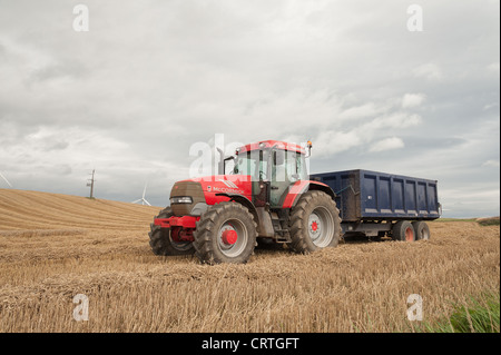 De coupe de moissonneuse-batteuse la récolte de maïs avant la tempête automne sur un ciel nuageux jour balayées par les éoliennes à l'horizon Banque D'Images