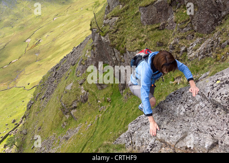 Un Gillercombe rock scrambler sur Crag (lapins foulèrent brouiller) sur Knotts gris dans le Lake District, UK. Banque D'Images