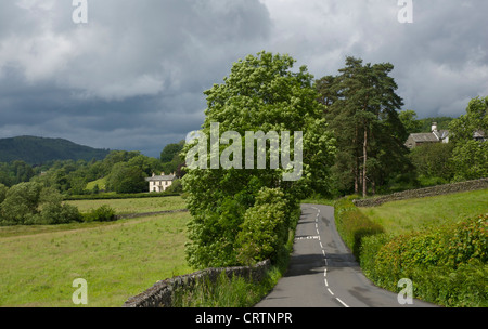 B5285 route entre Hawkshead et près de Sawrey, près du village de Colthouse, Parc National de Lake District, Cumbria, Angleterre, Royaume-Uni Banque D'Images