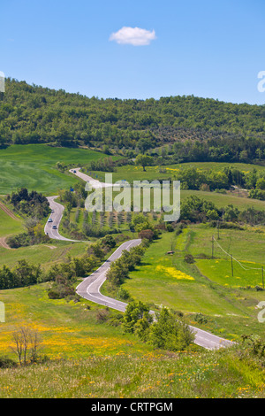 Piscine en plein air avec vue sur la Toscane route courbe locale. Shot verticale Banque D'Images