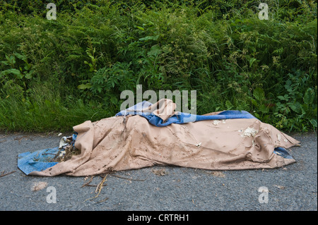 Les décharges sauvages faisant l'objet d'un vieux tapis ménage en bordure d'aire dans la campagne en milieu rural Herefordshire Angleterre UK Banque D'Images