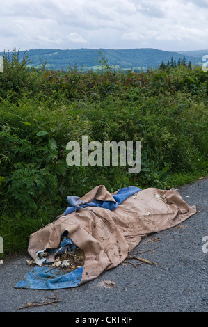 Les décharges sauvages faisant l'objet d'un vieux tapis ménage en bordure d'aire dans la campagne en milieu rural Herefordshire Angleterre UK Banque D'Images