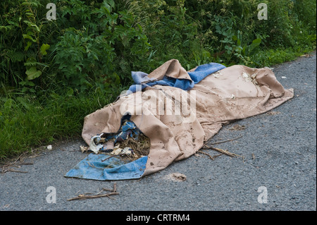 Les décharges sauvages faisant l'objet d'un vieux tapis ménage en bordure d'aire dans la campagne en milieu rural Herefordshire Angleterre UK Banque D'Images