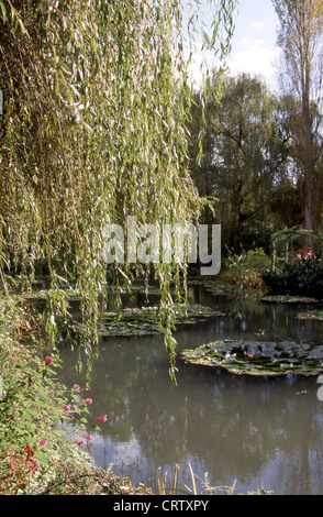 La maison et les jardins de Monet à Giverny - La mare aux nynphéas Banque D'Images
