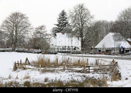 Paysage d'hiver à la Schlei près de Sieseby Banque D'Images