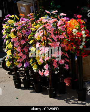 Fleurs en plastique en vente chez un fleuriste à Colombo, Sri Lanka Banque D'Images