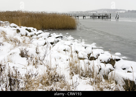 Paysage d'hiver à la Schlei près de Sieseby Banque D'Images