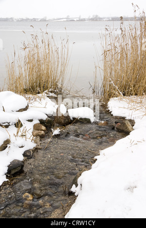 Paysage d'hiver à la Schlei près de Sieseby Banque D'Images