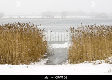 Paysage d'hiver à la Schlei près de Sieseby Banque D'Images