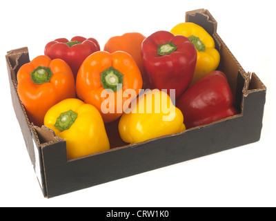 Frais sain venu ensemble mixte de Poivrons colorés crus, la cuisson ou la salade ingrédients alimentaires, isolé sur un fond blanc, avec aucun peuple Banque D'Images