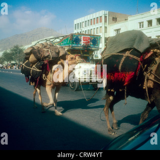 Les chameaux chargés marche à travers street en Afghanistan avant l'invasion soviétique. Banque D'Images