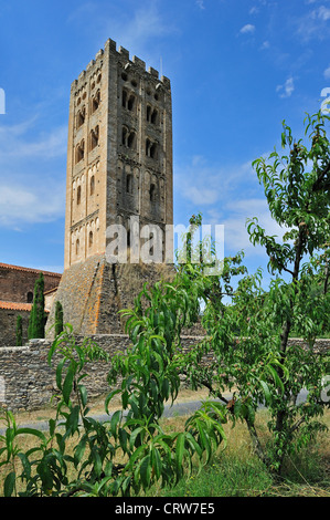 Amandier au verger et Saint-Michel-de-Cuxa abbaye / Sant Miquel de Cuixà, une abbaye bénédictine à Codalet, Pyrénées, France Banque D'Images