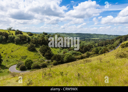 Fort hill Surrey, Angleterre montrant une partie de la route en zigzag. Banque D'Images