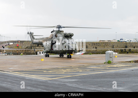 Royal Air Force Puma landing Banque D'Images