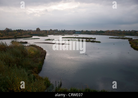 London Wetlands Centre, Barnes, Londres. Pris de la tour de paon Banque D'Images