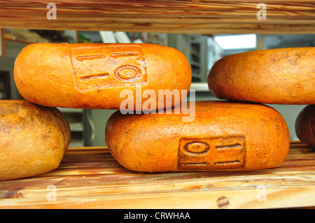 Des piles de Mahón (local Formatge de Maó) fromage, Mahón, Minorque, Iles Baléares, Espagne Banque D'Images