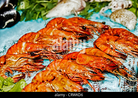 Arranjment la cuisson avec différentes variétés de poissons. Banque D'Images