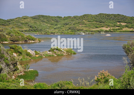 Parc naturel de s'Albufera des Grau, Minorque, Iles Baléares, Espagne Banque D'Images