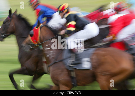 Chevaux et jockeys en action Banque D'Images