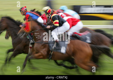 Chevaux et jockeys en action Banque D'Images