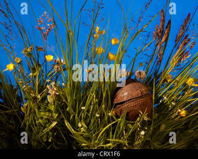 Très vieux et cassé le cricket ball trouvés dans l'herbe haute, à la perte de nombreuses années auparavant. Banque D'Images