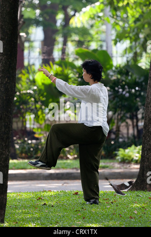 Une jeune femme thaïlandaise pratiquer le tai-chi-chuan, tôt le matin (Bangkok) Jeune femme thaïlandaise pratiquant le tai-chi-chuan. Banque D'Images