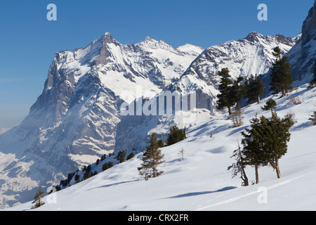 L'Eiger mountain range entre Grindelwald et Kleine Scheidegg dans l'Oberland bernois Suisse Banque D'Images