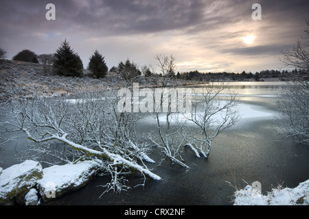 Les arbres partiellement submergés dans une gelée et couverte de neige réservoir Fernworthy, Dartmoor National Park, Devon, Angleterre. Banque D'Images