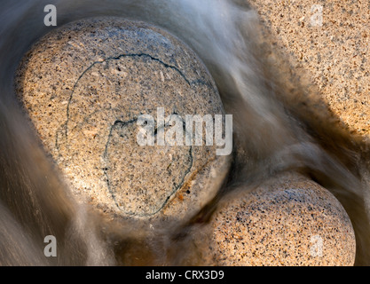 Motif en forme de cœur sur un bloc de granite circulaire, Porth Nanven, Cornwall, Angleterre. Printemps (avril) 2012. Banque D'Images