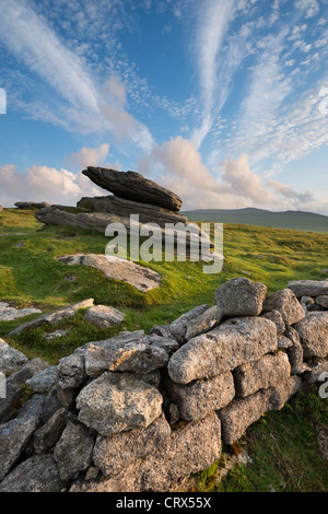 L'été au mur de l'Irlandais sur Belstone Ridge, Dartmoor, dans le Devon, Angleterre. En été (juin) 2012. Banque D'Images