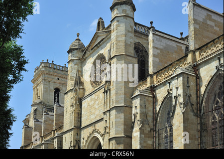 La Cathédrale Auch / Cathédrale Sainte-Marie d'Auch, Gers, Midi-Pyrénées, Pyrénées, France Banque D'Images