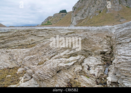 L'onagre fascinantes formations rocheuses calcaires sur la péninsule de Kaikoura dans l'île du sud de Nouvelle-Zélande. Banque D'Images