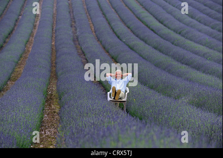 Andrew Elms dans son champ de lavande à Lordington ferme près de Chichester, West Sussex UK Banque D'Images