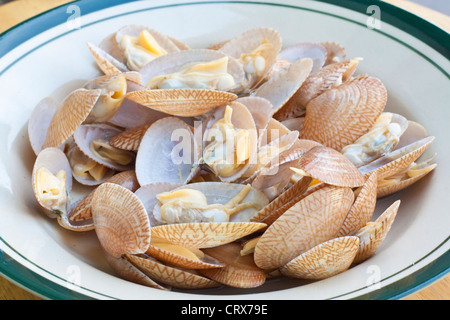 Les palourdes, les fruits de mer, qui sert à fabriquer des aliments tels que les soupes ou frit. Banque D'Images