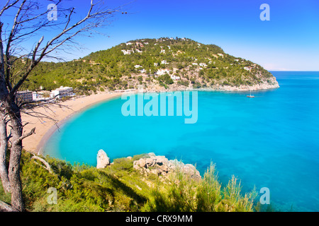 Vue aérienne de la plage Caleta de Sant Vicent dans l'île d'Ibiza cala de San Vicente Banque D'Images