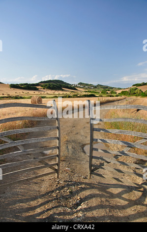 La porte de bois d'olive traditionnelle, Es Mercadal, Minorque, Iles Baléares, Espagne Banque D'Images