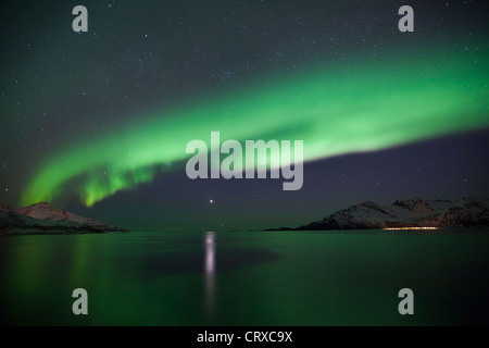 Aurores boréales les aurores boréales remplir le ciel à Kvaloya dans le cercle arctique près de Tromso, Norvège du Nord Banque D'Images