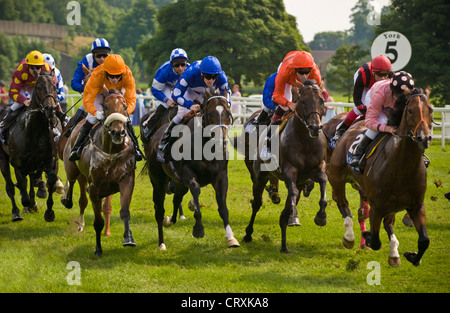 Des chevaux et leurs jockeys galopant le long du parcours de l'hippodrome de York. Banque D'Images