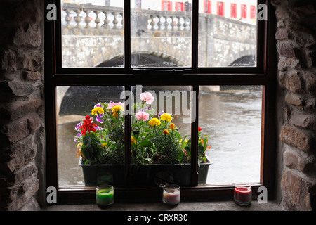 L'Irlande, Connacht, comté de Roscommon, vue de cafe Banque D'Images