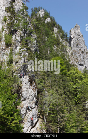 L'Autriche, Styrie, près de la Via ferrata dans le parc national du Gesäuse Johnsbach Banque D'Images