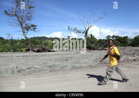 Bûcheron dans une clairière d'une zone de consignation, province de Madang, Papouasie Neuguinea Banque D'Images