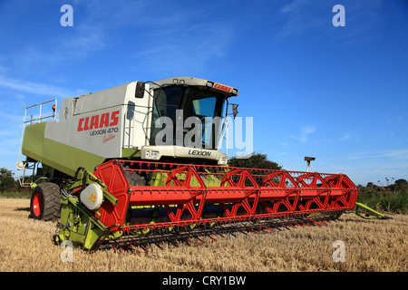 L'évolution 470 rendmt Lexion Claas Moissonneuse Batteuse contre un ciel bleu à Norfolk, Royaume-Uni. Banque D'Images