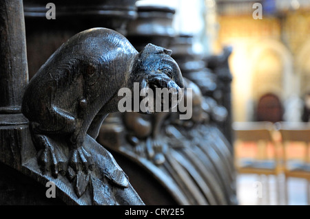 Liège, Belgique. Eglise Saint Jacques. Stalles sculptées grotesques (14thC) Banque D'Images