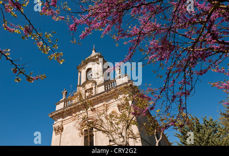 Printemps fleuri dans les jardins publics de Giardino Ibleo à Ragusa (Ragusa Ibla), Sicile, Italie Banque D'Images