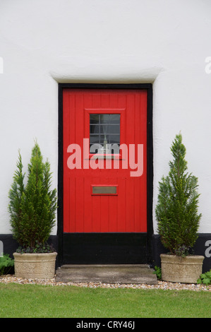 La porte rouge flanquée de deux arbres en pot cyprès appartenant à l'une des chaumières blanchies de Milton Abbas. Dorset, Angleterre, Royaume-Uni. Banque D'Images