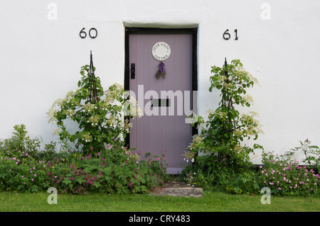 La couleur lilas porte avant pour Star 'Gazy Cottage", l'une des chaumières du 18e siècle blanchis de Milton Abbas. Dorset, Angleterre, Royaume-Uni. Banque D'Images